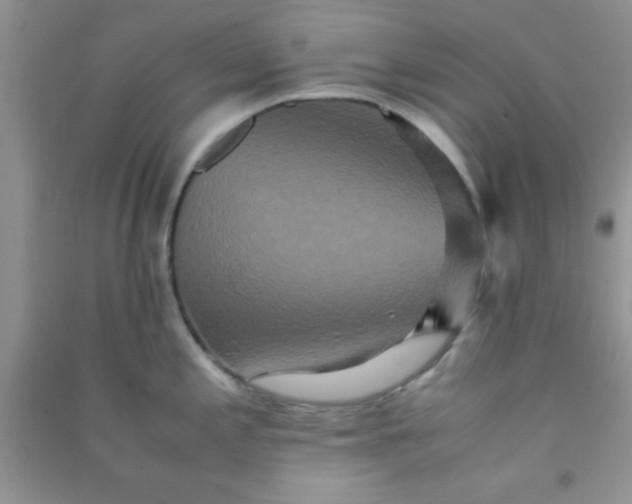 X0000090991197200708161910