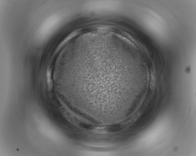 X0000090991198200708161910