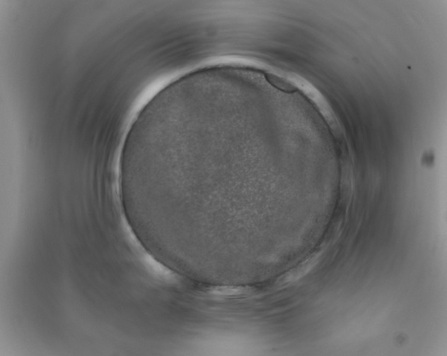 X0000090991199200708161910