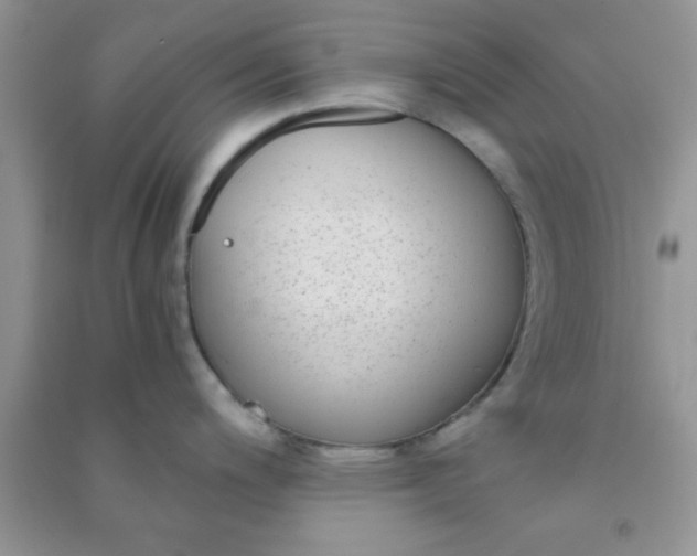 X0000090991200200708161910