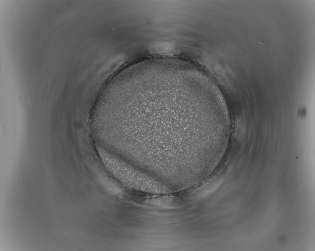 X0000090991201200708161910