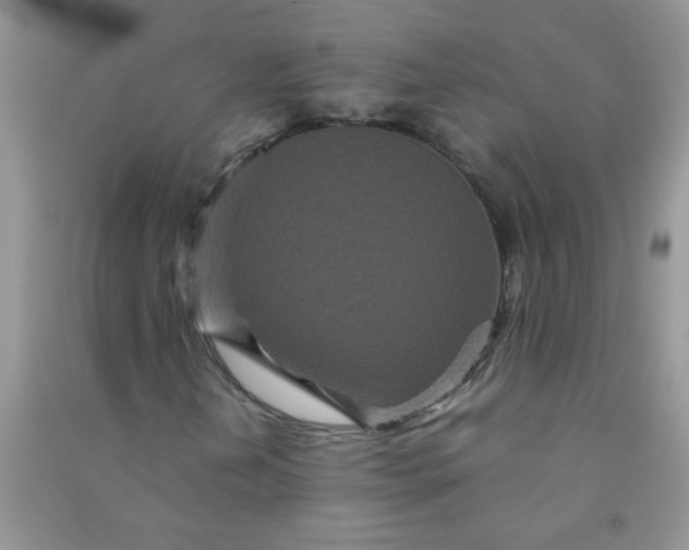 X0000090991202200708161910