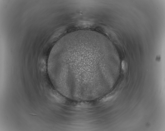 X0000090991203200708161910