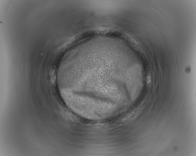 X0000090991204200708161910