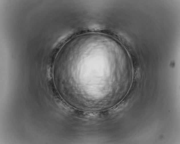 X0000090991205200708161910