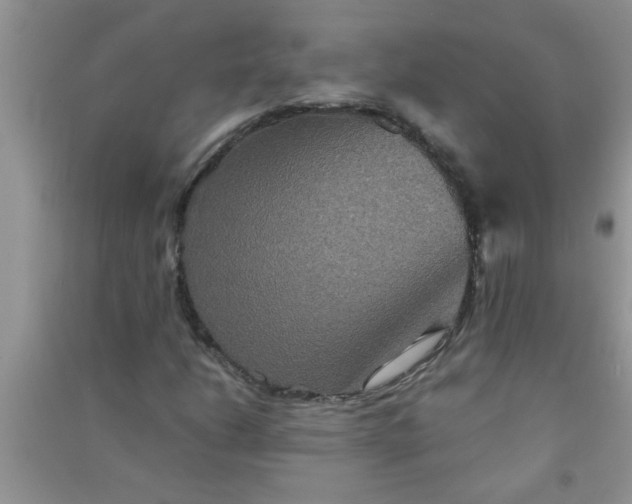 X0000090991206200708161910