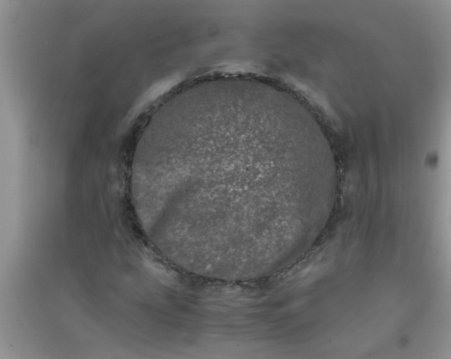 X0000090991207200708161910