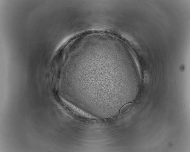 X0000090991208200708161910
