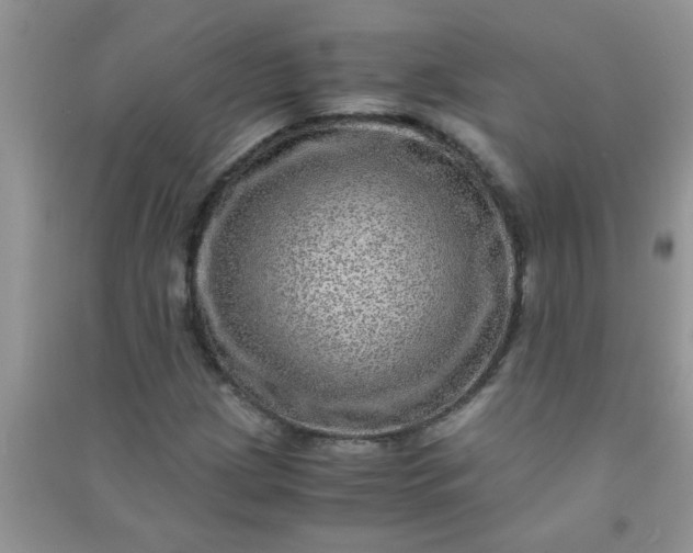 X0000090991209200708161910