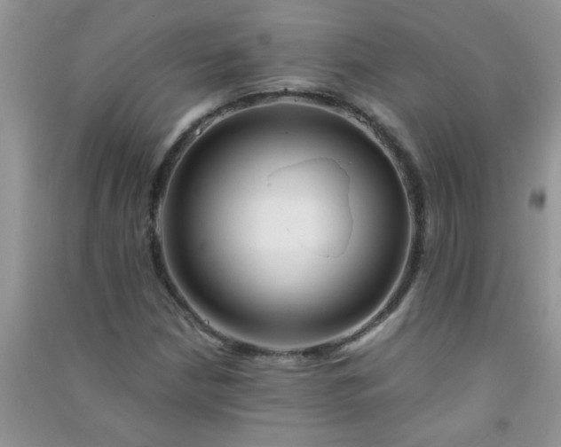 X0000090991210200708161910