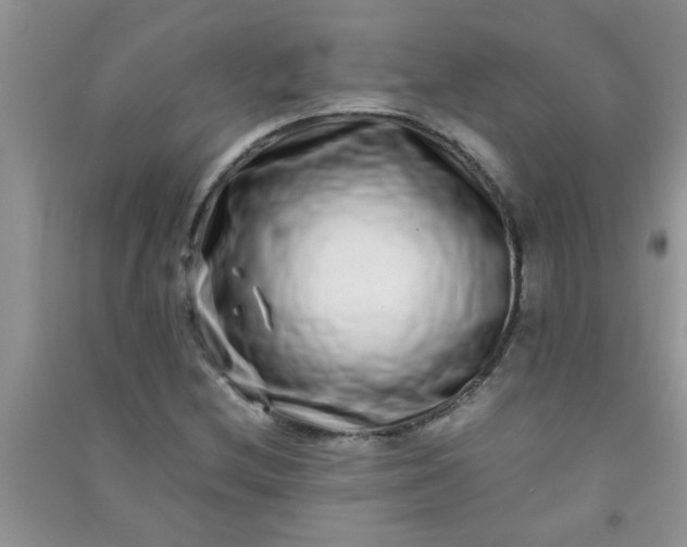 X0000090991212200708161910
