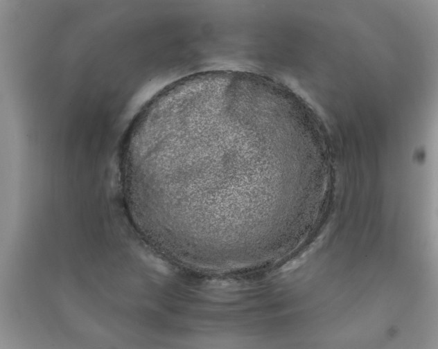 X0000090991215200708161910