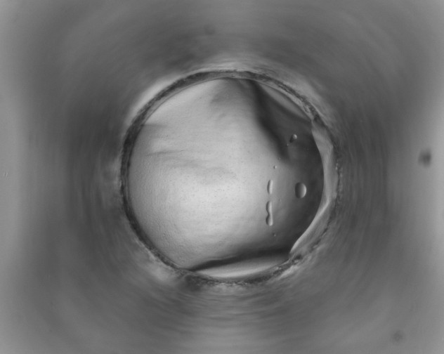 X0000090991216200708161910