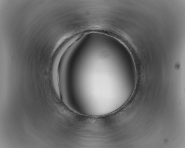 X0000090991218200708161910