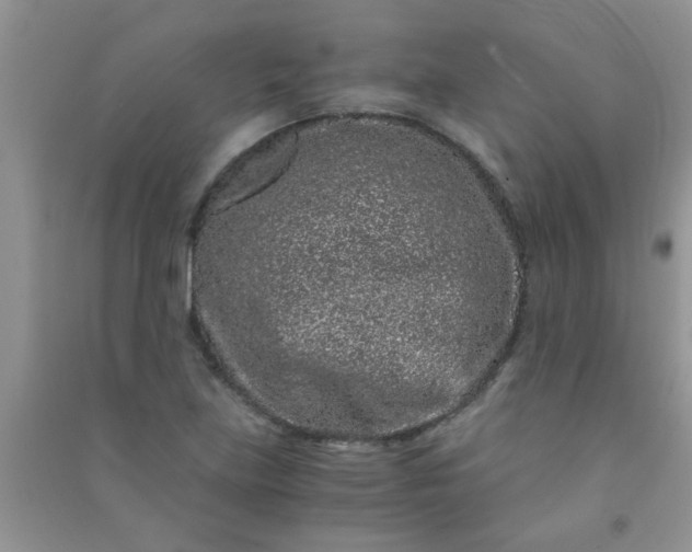 X0000090991219200708161910