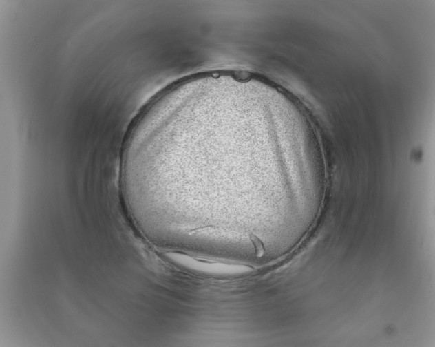 X0000090991220200708161910