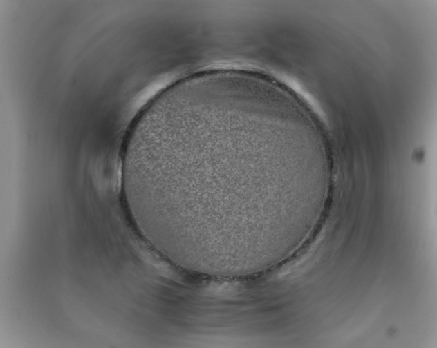 X0000090991221200708161910