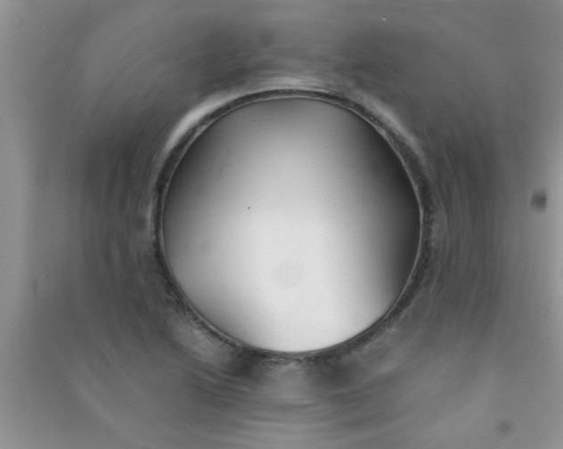 X0000090991222200708161910