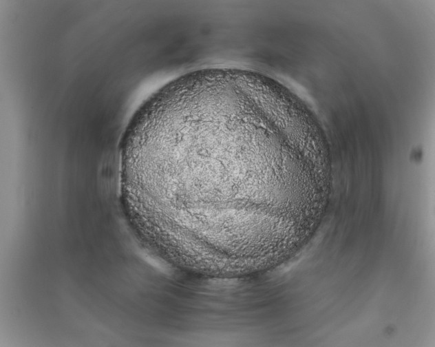 X0000090991223200708161910