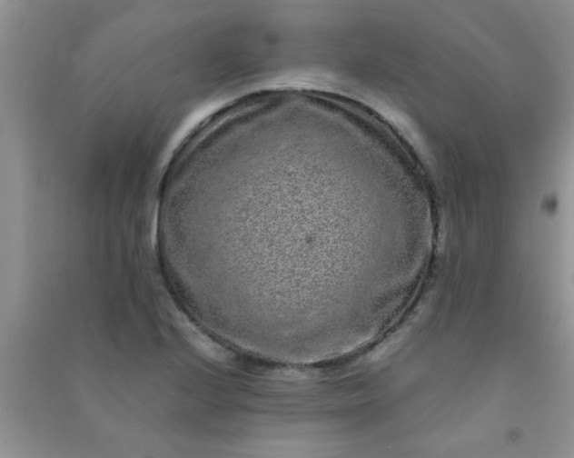 X0000090991224200708161910