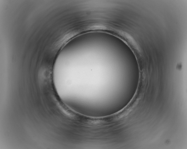 X0000090991225200708161910