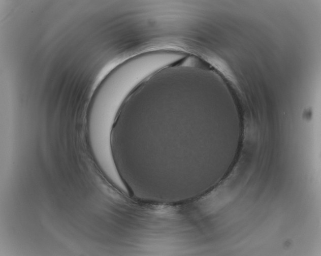 X0000090991226200708161910