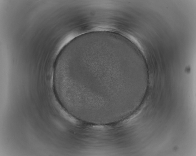X0000090991227200708161910