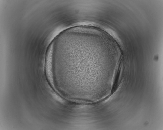 X0000090991228200708161910