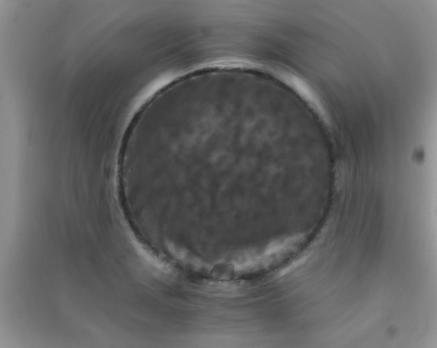 X0000090991229200708161910