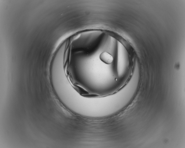 X0000090991230200708161910