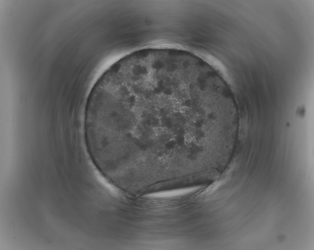 X0000090991231200708161910
