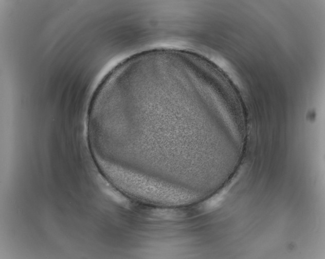 X0000090991232200708161910