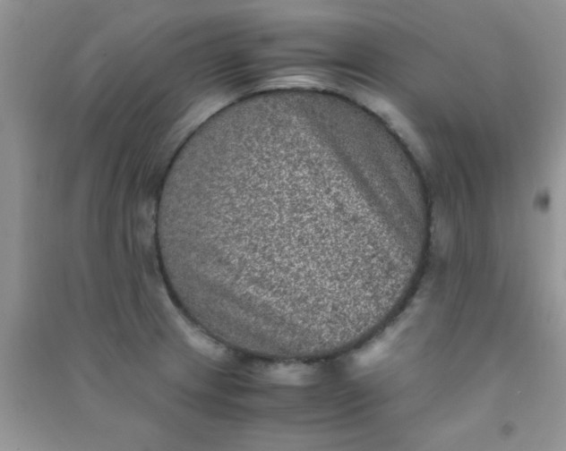 X0000090991233200708161910