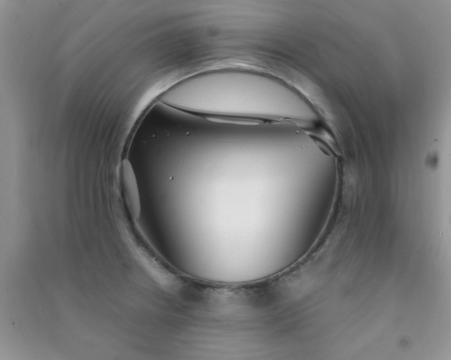 X0000090991234200708161910