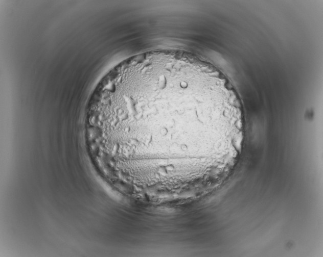 X0000090991235200708161910