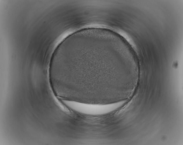 X0000090991237200708161910