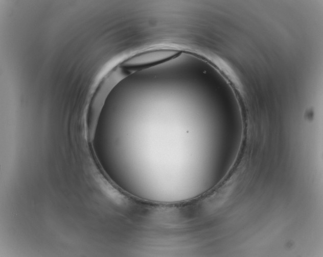 X0000090991238200708161910