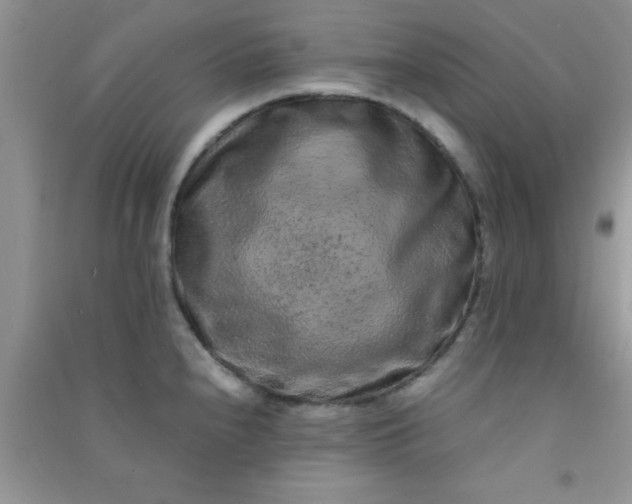 X0000090991240200708161910