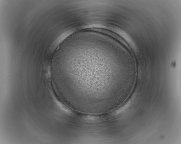 X0000090991241200708161910