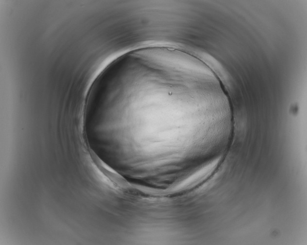 X0000090991244200708161910