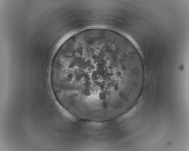 X0000090991245200708161910