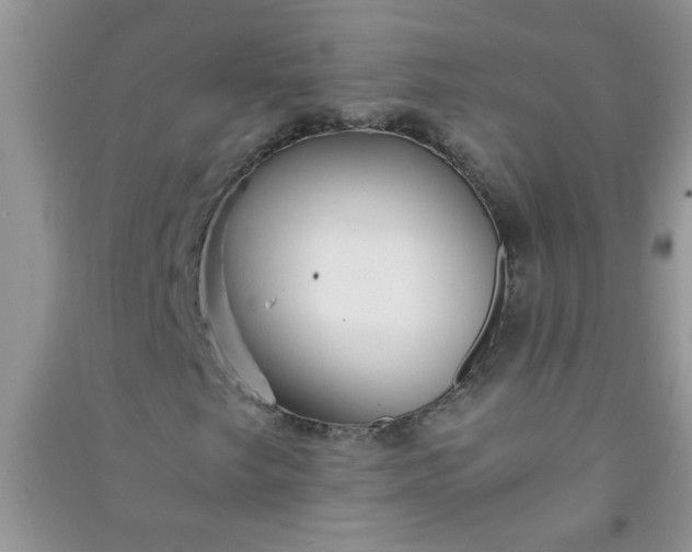 X0000090991249200708161910