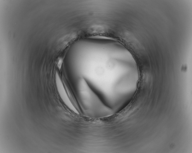 X0000090991250200708161910