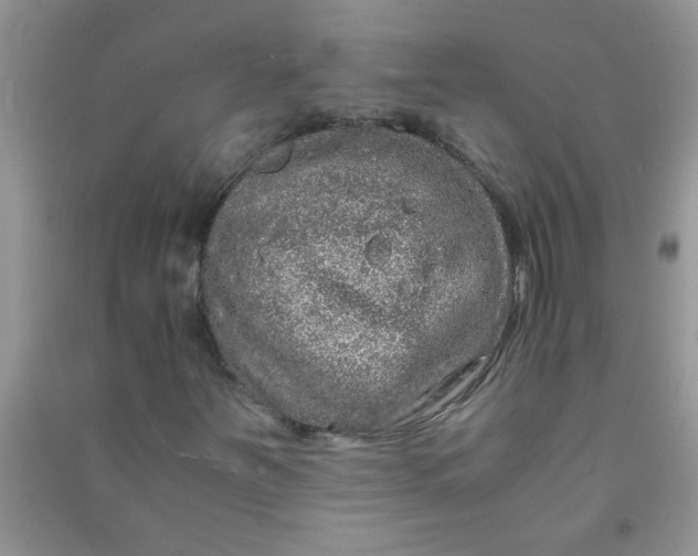 X0000090991251200708161910
