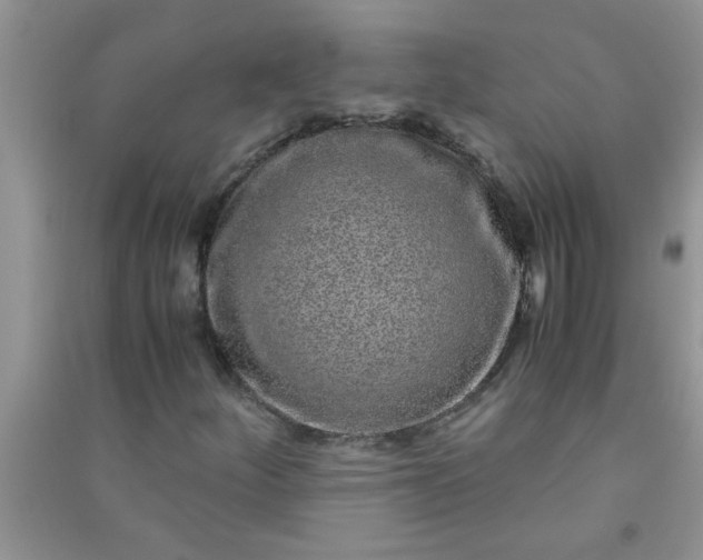 X0000090991252200708161910