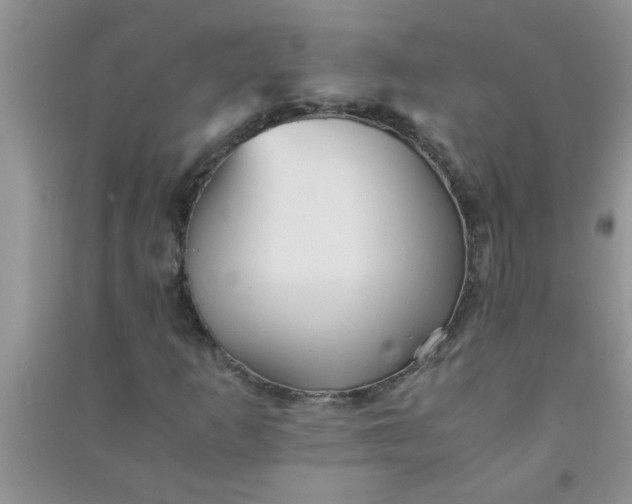 X0000090991253200708161910