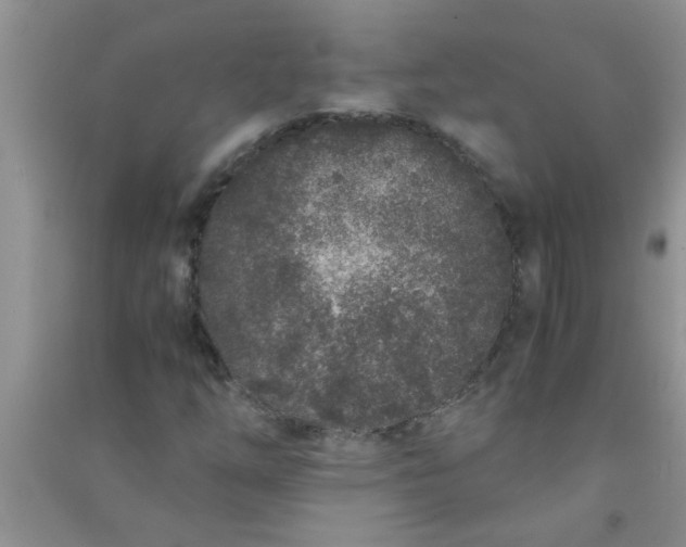 X0000090991254200708161910
