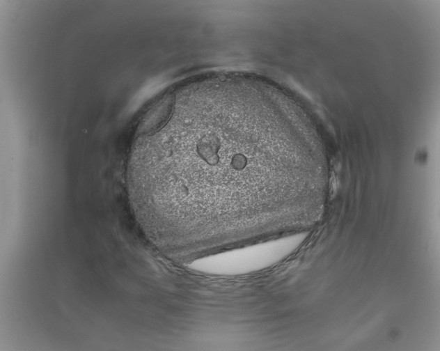 X0000090991255200708161910