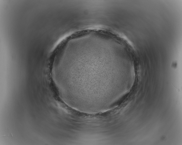 X0000090991256200708161910