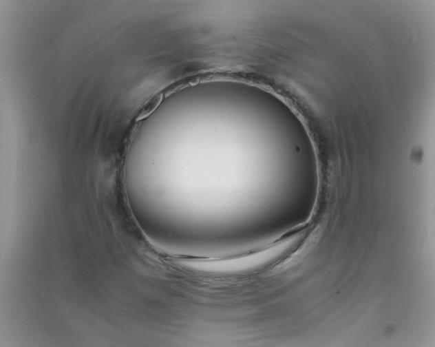 X0000090991257200708161910
